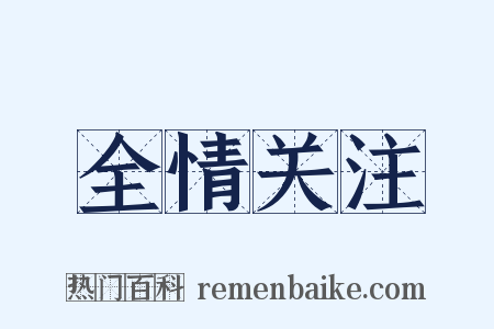 全情关注是什么意思的图片